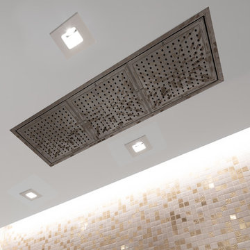 Battery Park Residence - Master Shower Detail