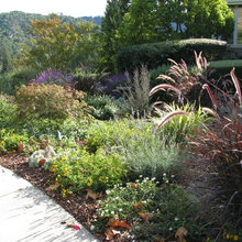 Landscape Ideas