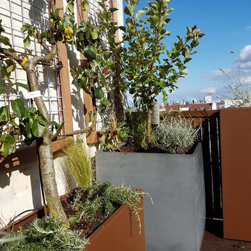 zoom sur les jardinières plantés d'arbres fruitiers