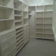 Organization