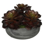 House of Silk Flowers, Inc. - Artificial Burgundy Echeveria Garden in Grey-Washed Bowl Ceramic - You will never have to worry about caring for your succulents again with this artificial echeveria garden handcrafted by House of Silk Flowers. This arrangement features three artificial echeverias "potted" in a grey-washed ceramic vase measuring 6" diameter x 2.25" tall. The echeverias have been arranged for 360*-viewing. The overall dimensions are measured leaf tip to leaf tip, from the bottom of the planter to the tallest leaf tip: 6.5" diameter X 4.5" tall. Measurements are approximate, and will be determined by your final shaping of the plant upon unpacking it. No arranging is necessary, only minor shaping, with the way in which we package and ship our products. This product is only recommended for indoor use.