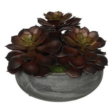 Artificial Burgundy Echeveria Garden in Grey-Washed Bowl Ceramic