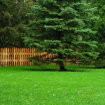 Western Red Cedar Fencing