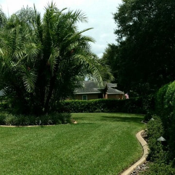Lawn Maintenance