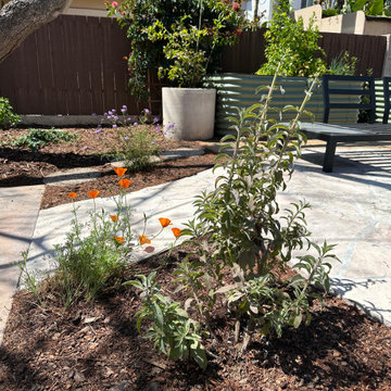 A Condo's Peaceful Front Yard Respite