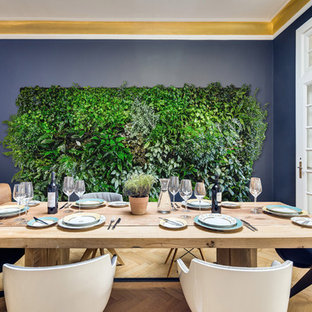 ハンブルクの広いエクレクティックスタイルのLDKの画像 (青い壁、淡色無垢フローリング)