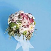 Wafaa Adel's photo