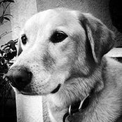 Richard Hanke's photo