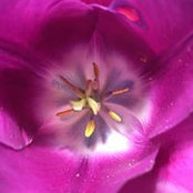 Naomi Evans's photo