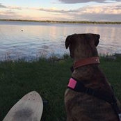 Kevin Pelletier's photo