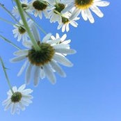 Denise Ward's photo