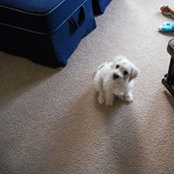 Lorrie Hickam's photo