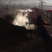 John Doran's photo