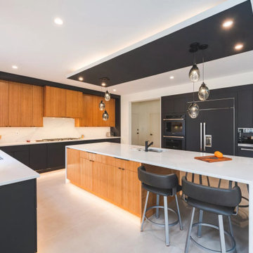 Full House Renovation- Extreme Black