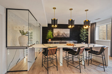 Home design - contemporary home design idea in Denver