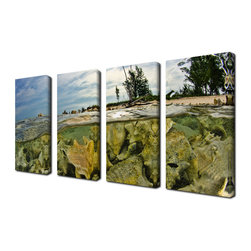 Ready2HangArt - Ready2hangart Chris Doherty 'Conch Shells' 4-piece Canvas Wall Art - Prints And Posters