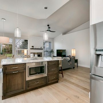 East Boise Full Home Remodel