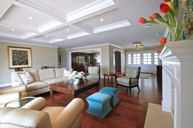 Inspiration for a transitional living room remodel in Los Angeles