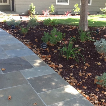 Front Yard Update