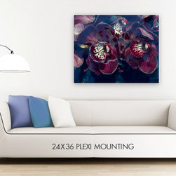 James Houston Design - Fine Art Prints