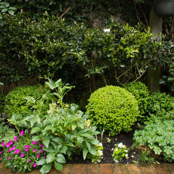 Gamble Garden Spring Tour 2014: Webster