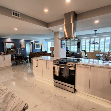 Contemporary Kitchen Remodel Done in a Pearl Color