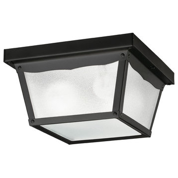 Outdoor Ceiling 2-Light, Black