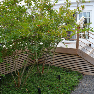 Fire Island Garden