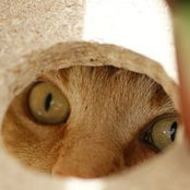 Kathy Scott's photo