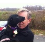 David Phillips's photo