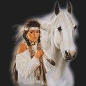 Foto de Sandy Stallion
