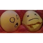 Danielle Shivers's photo