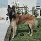 Carine Sauvage's photo