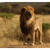 Karuna Tiwari's photo