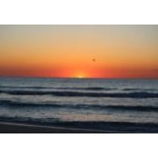 Judson Murray's photo