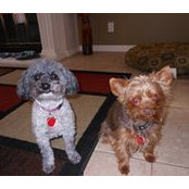 Lisa Rosen-Sanders's photo