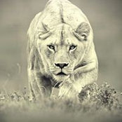 Judy Harris's photo