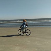 Shelby Woods's photo