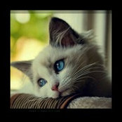 Laila Faty's photo