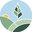 Seattle Sustainable Landscapes