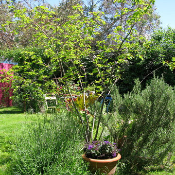 Aménagement paysager d'un jardin de ville...