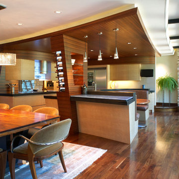 Contemporary Minnesota Home