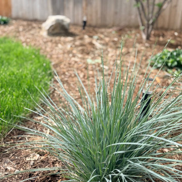 Total Indoor + Outdoor Renovation - Park Hill, CO