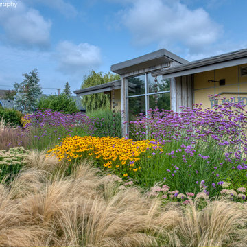 COMMERCIAL LANDSCAPE SERVICES