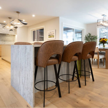 Edgemont Contemporary Renovation