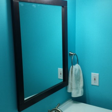 Ann Arbor Guest Bathroom Remodel
