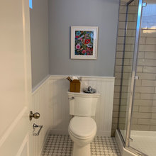 Basement Bathroom