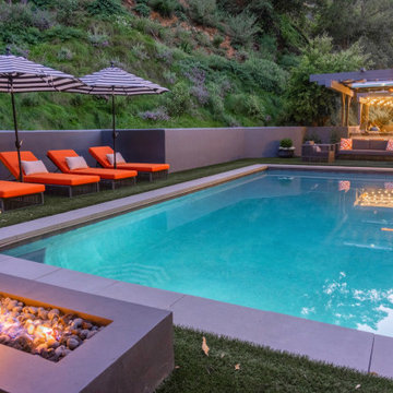 Mandeville Canyon Modern Oasis