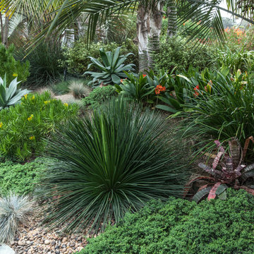 Southern California Tropical Oasis