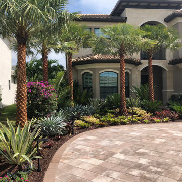 Landscaping with Tropical Color-Palms and Bromeliads
